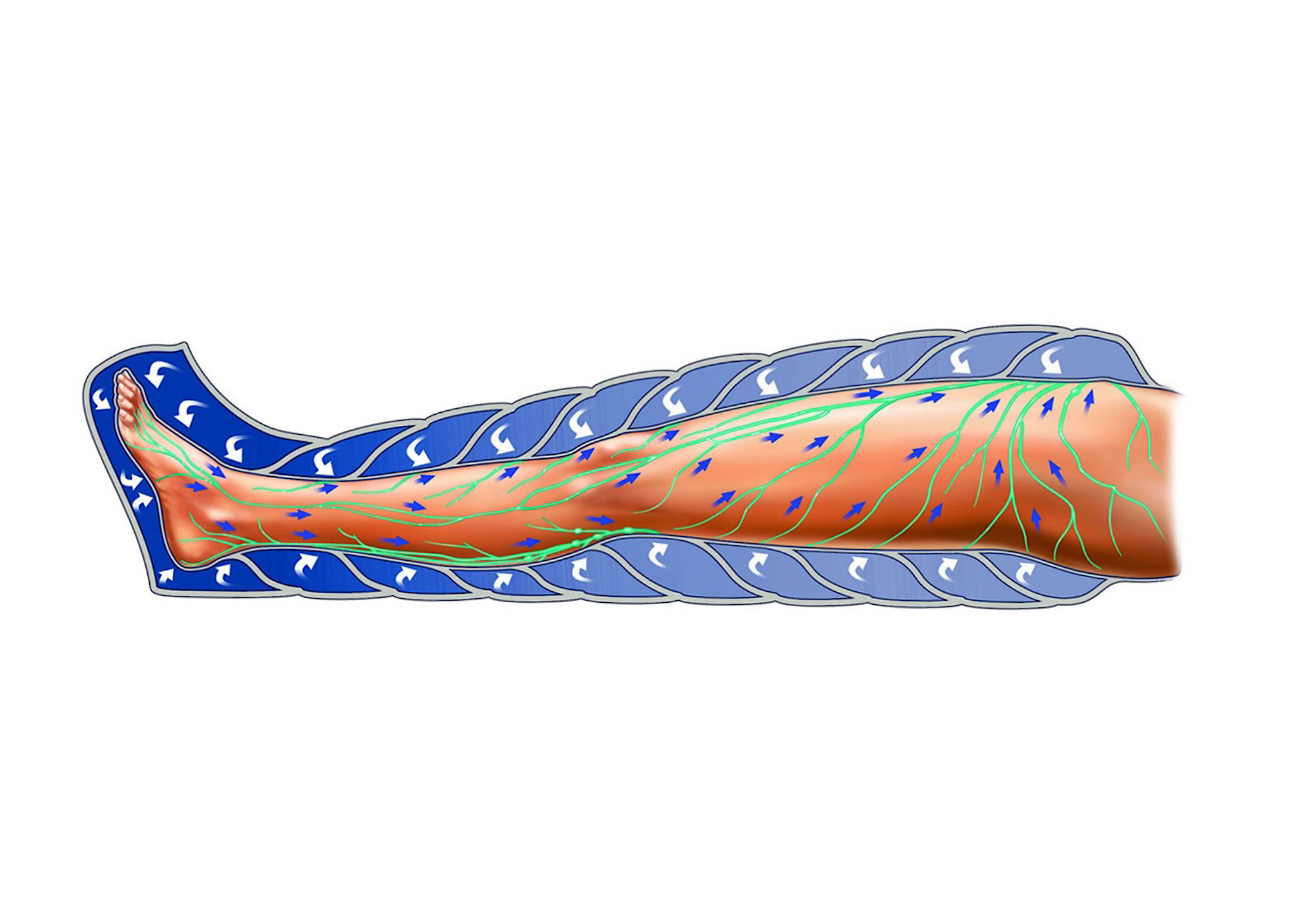 Проведение процедуры.