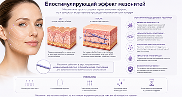 Биостимулирующий эффект мезонитей: научный подход к омоложению кожи Биостимулирующий эффект мезонитей: научный подход к омоложению кожи